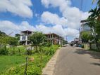 බිම් කොටසක් බදු දීමට