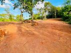 බිම් කොටසක් - Tengalle