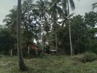 බිංගිරිය, හල්මිල්ලවැවෙන් පර්චස් 27ක අනගි ඉඩමක් විකිණීමට.