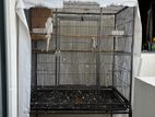 Bird Cage 3x5ft