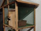 Bird Cage