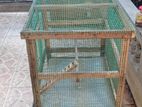 Bird cage