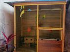 Bird Cage