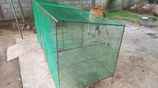 Bird Cage For Sale