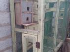 Bird Cage