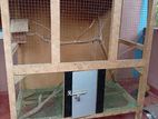 Bird Cage