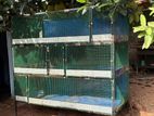 Bird cage