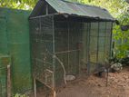 Bird Cage - Large Size