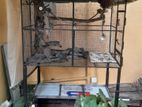 Bird Cage - Steel