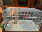 Bird Cage with Accessories