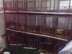 bird cages