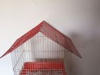 Bird Cages