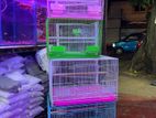 Bird Cages