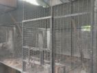 Bird Cages