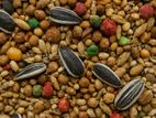 Bird Food – Nutritious Mix for Pet Birds