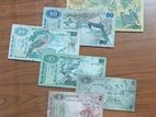 Old Notes