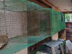 Animal Cage