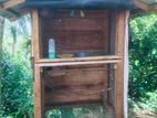 Bird with cage