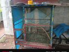 birda cage