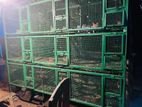 Bird's Breeding Cage