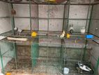 Birds Breeding Cage