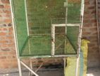Birds Cage