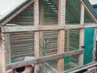 Birds Cage