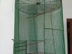 Birds Cage