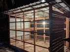 Birds Cage