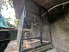 Birds Cage