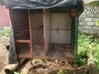 Birds Cage
