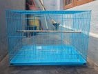 Birds Cage