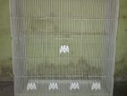 Birds Cage