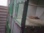 Birds Cage