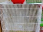 Birds Cage