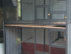 Birds Cage