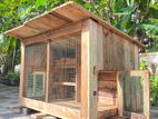Birds Cage