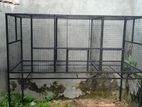 Birds Cage