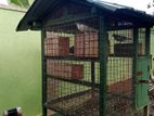 Birds Cage