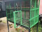 Birds cage
