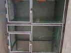 Birds Cage