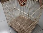 bird's Cage