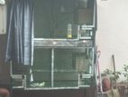 Birds Cage