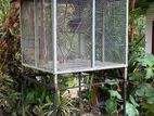Birds Cage
