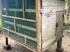 Birds Cage