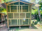 Birds Cage