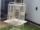 Birds Cage