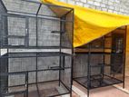 Birds Cage