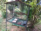 Birds Cage