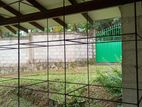 Birds Cage